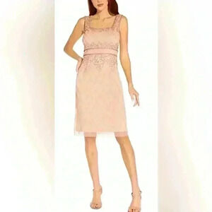 Adrianna Papell Blush Lace Dress